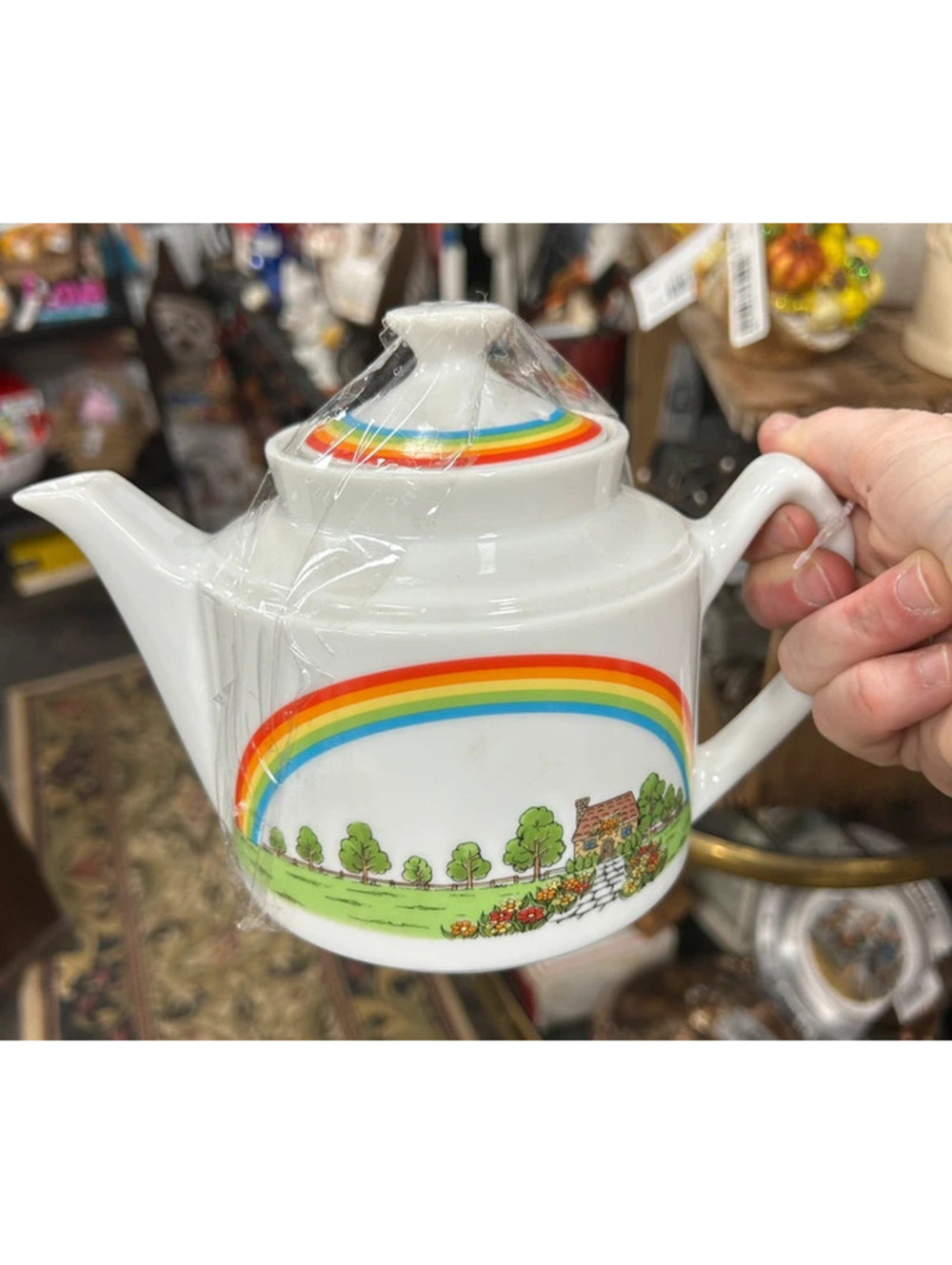 Rainbow teapot